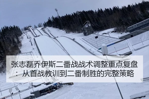 张志磊乔伊斯二番战战术调整重点复盘：从首战教训到二番制胜的完整策略